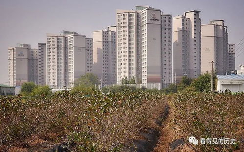韓國(guó)漢城的房地產(chǎn)開(kāi)發(fā) 如同地里莊稼一樣瘋長(zhǎng)的房子